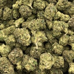 Fruit Fetti Cake Strain- Hybrid 1/4 oz