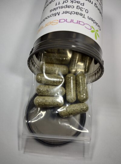 Golden Teachers Microdose 0.3g (11 pack) - Image 4