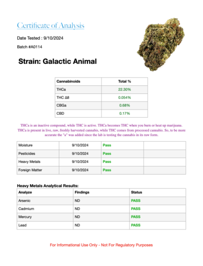 Galactic Animal - Indica Hybrid 7g - Image 3